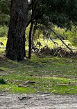 Halls Gap Valley Lodges