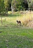 Halls Gap Valley Lodges