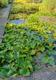 Mount Congreve Gardens