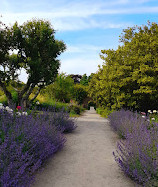 Mount Congreve Gardens