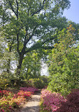 Mount Congreve Gardens