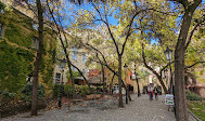 Gardens below Prague Castle