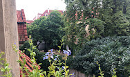 Gardens below Prague Castle