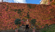 Gardens below Prague Castle