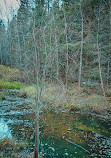 Patricia Ravine Trail