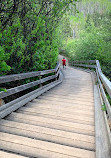 Patricia Ravine Trail