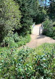 Whitemud Ravine Nature Reserve