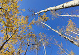 Whitemud Ravine Nature Reserve