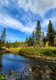 Whitemud Ravine Nature Reserve