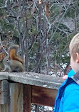 Whitemud Ravine Nature Reserve