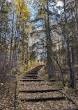 Whitemud Ravine Nature Reserve