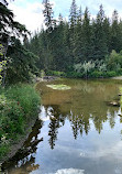 Whitemud Ravine Nature Reserve