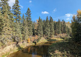 Whitemud Ravine Nature Reserve