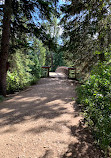 Whitemud Ravine Nature Reserve