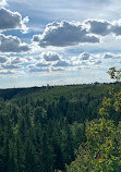 Whitemud Ravine Nature Reserve