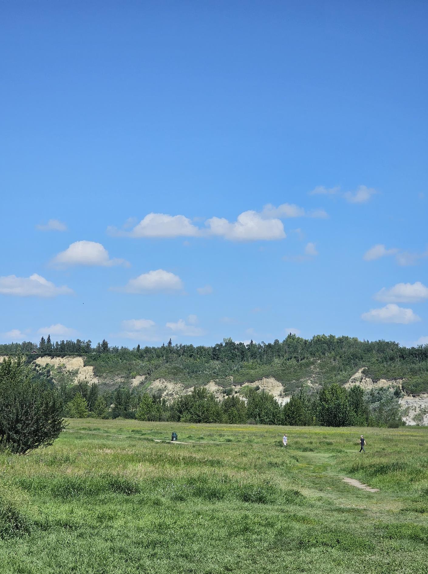 Terwillegar Dog park