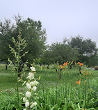 Parc d'État de la Liberté