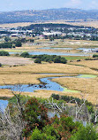 Mount Pleasant Lookout