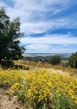 Mount Pleasant Lookout