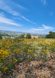 Mount Pleasant Lookout