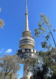 Black Mountain Lookout