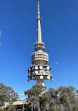 Black Mountain Lookout