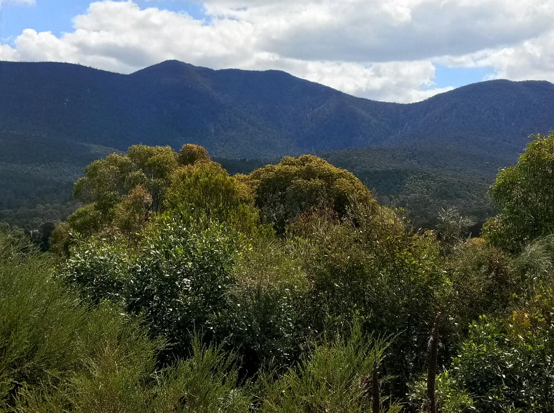 Tidbinbilla Lookout