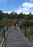 Tidbinbilla Lookout