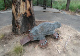 Tidbinbilla Lookout