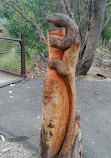 Tidbinbilla Lookout