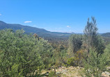 Tidbinbilla Lookout