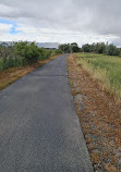 Shields Lane Park