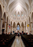 Cathedral of the Immaculate Conception