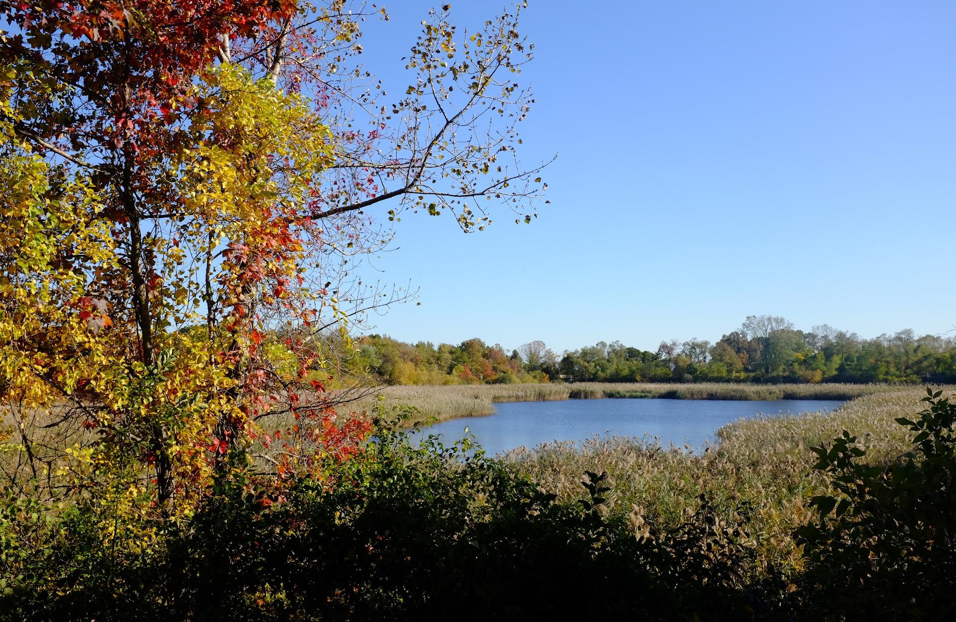 Ridgewood Reservoir