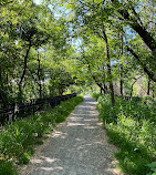 Ridgewood Reservoir