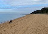 Black Rock Beach Dog Off Leash Area