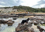 Black Rock Beach Dog Off Leash Area