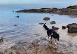 Black Rock Beach Dog Off Leash Area