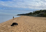 Black Rock Beach Dog Off Leash Area