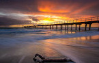 Seaford Foreshore Reserve