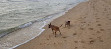 Seaford Foreshore Reserve