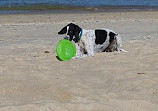 Edithvale Beach