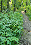 Mount Royal Cross