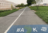 Walking And Cycling Track