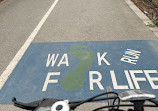 Walking And Cycling Track