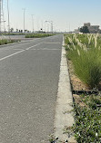 Walking And Cycling Track