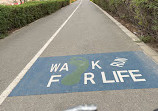 Walking And Cycling Track