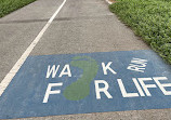 Walking And Cycling Track