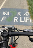 Walking And Cycling Track