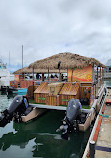 Tiki Time Bay Tours